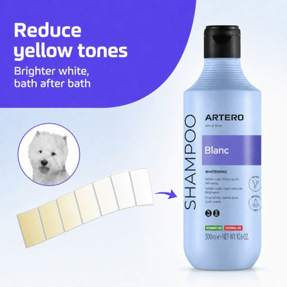 Blanc Shampoo
