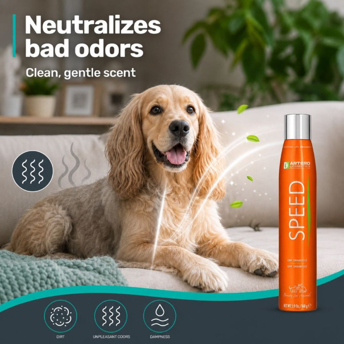 Speed Dry/Whitening Shampoo 300ml