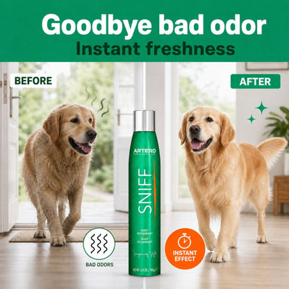 Sniff Body Deodorant 300ml - Odor Remover