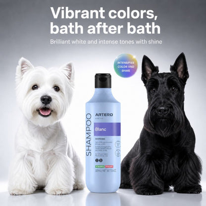 Blanc Shampoo