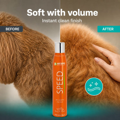 Speed Dry/Whitening Shampoo 300ml