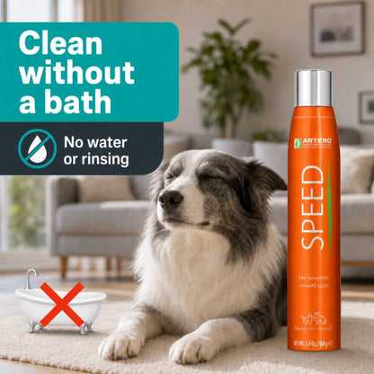 Speed Dry/Whitening Shampoo 300ml