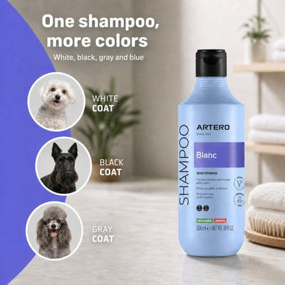 Blanc Shampoo