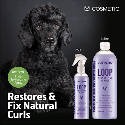 Loop Texturizing Spray 1L