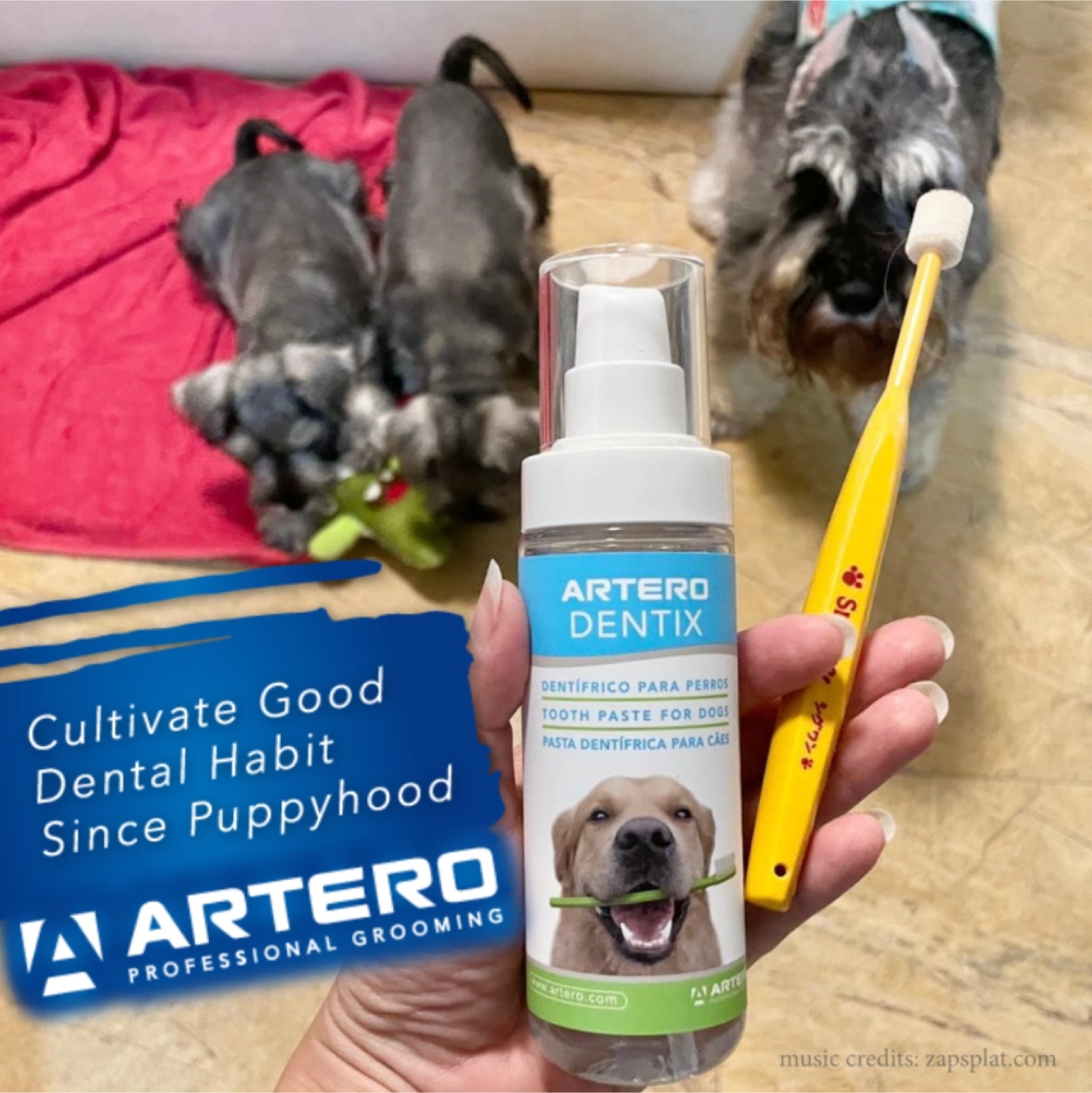 Artero dog hot sale grooming products