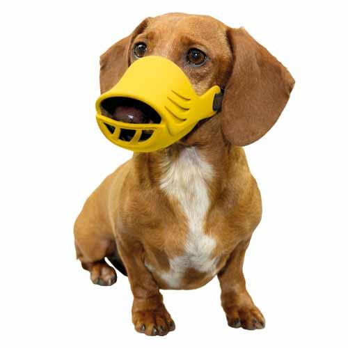 Dog Muzzle - Yellow - ARTERO Singapore